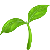 hoja verde