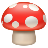 hongo